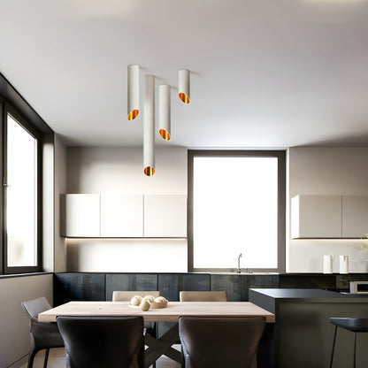 Fine Cylinder Ceiling Light