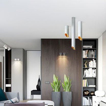Fine Cylinder Ceiling Light
