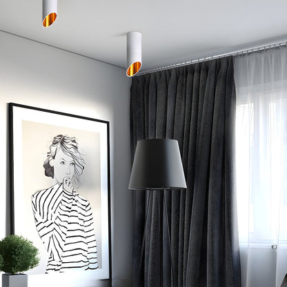 Fine Cylinder Ceiling Light