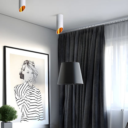 Fine Cylinder Ceiling Light