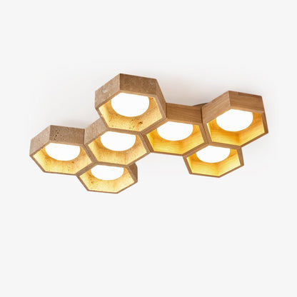 Cellular Ceiling Light