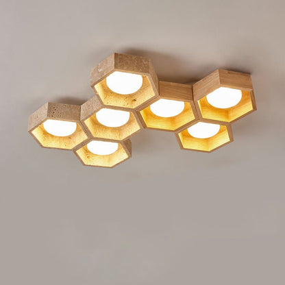 Cellular Ceiling Light