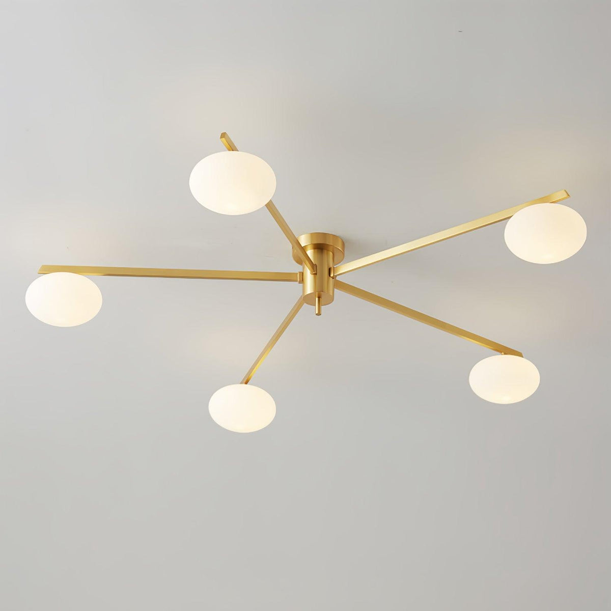 Branch Globe Ceiling Light