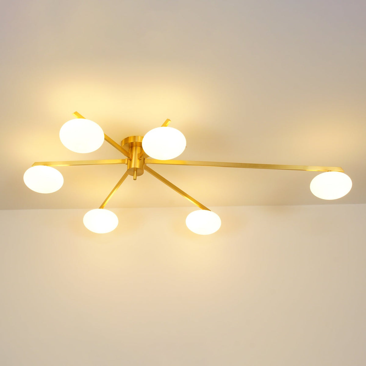 Branch Globe Ceiling Light