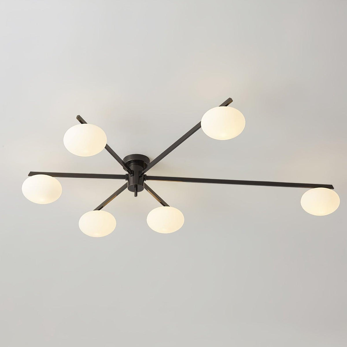 Branch Globe Ceiling Light