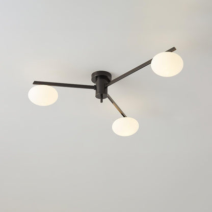 Branch Globe Ceiling Light