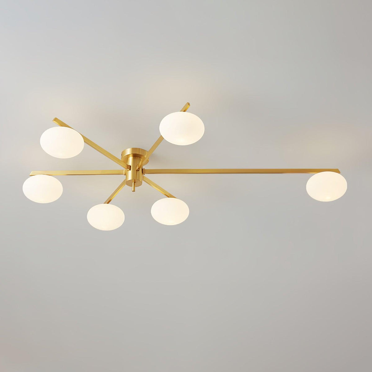 Branch Globe Ceiling Light