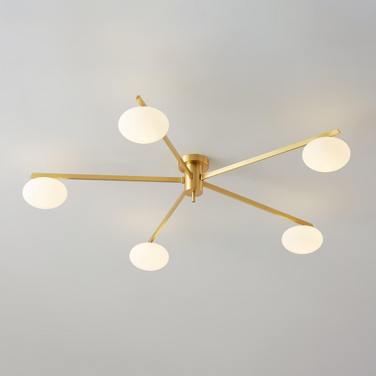 Branch Globe Ceiling Light
