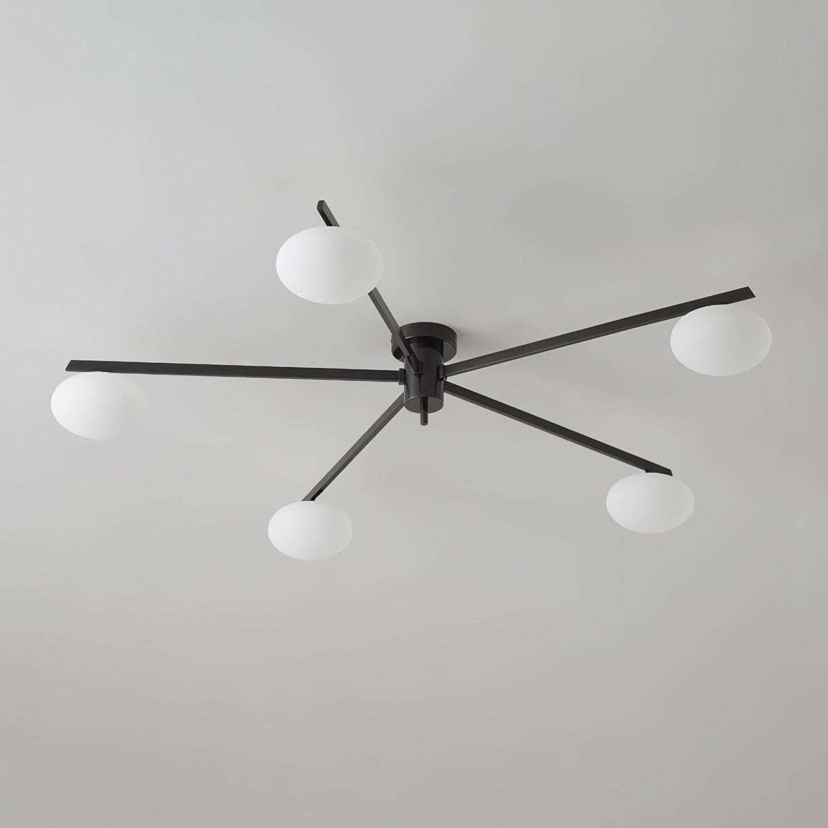 Branch Globe Ceiling Light