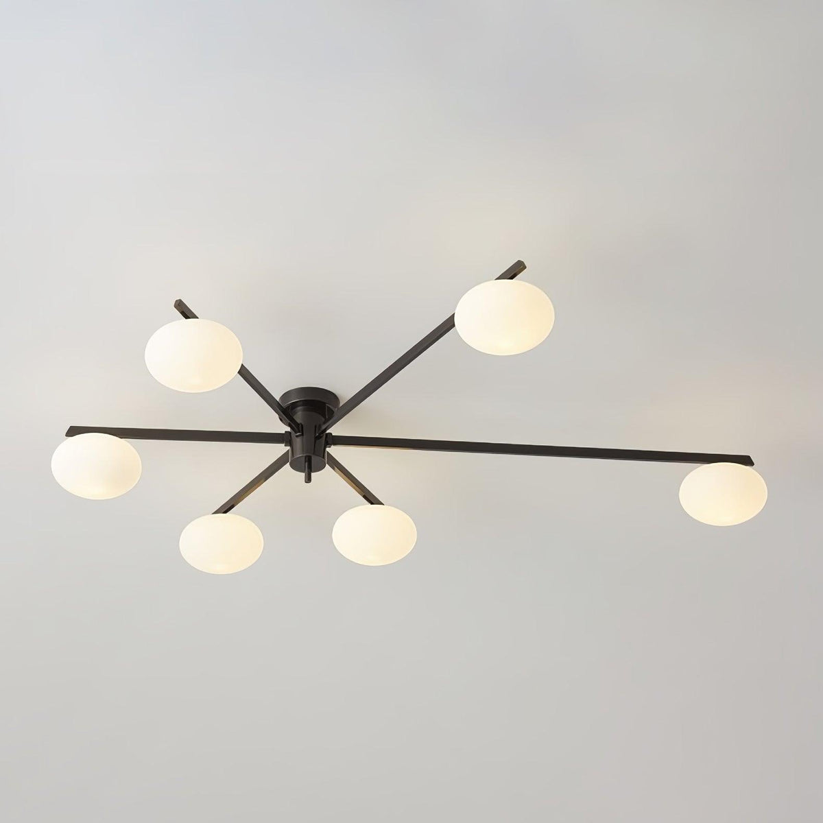 Branch Globe Ceiling Light