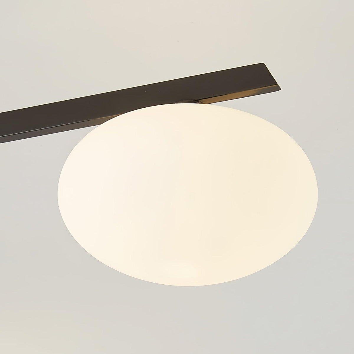 Branch Globe Ceiling Light