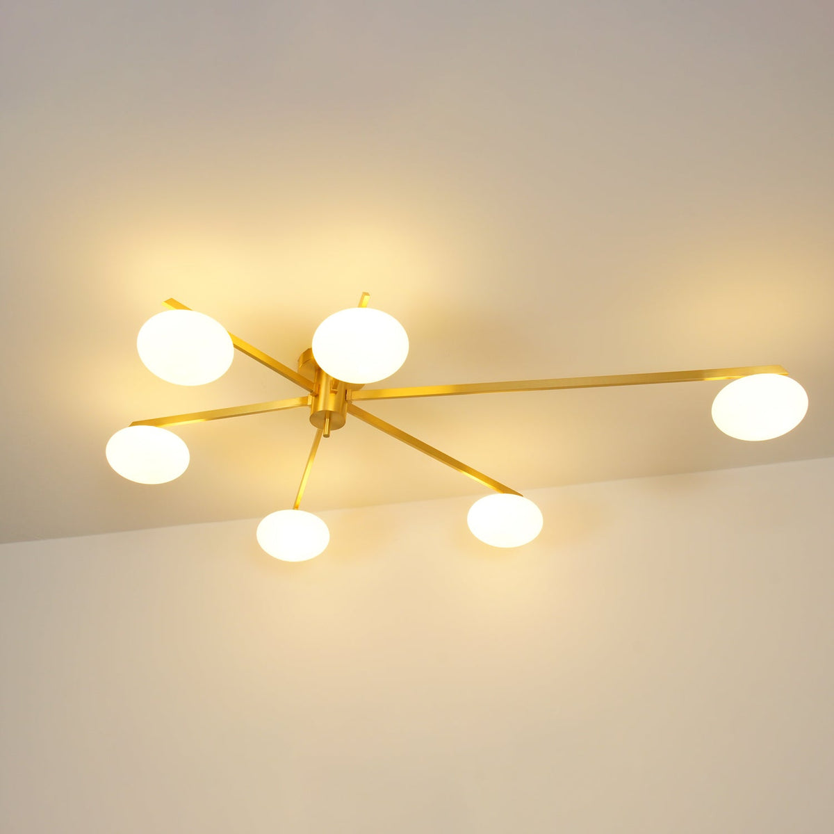Branch Globe Ceiling Light