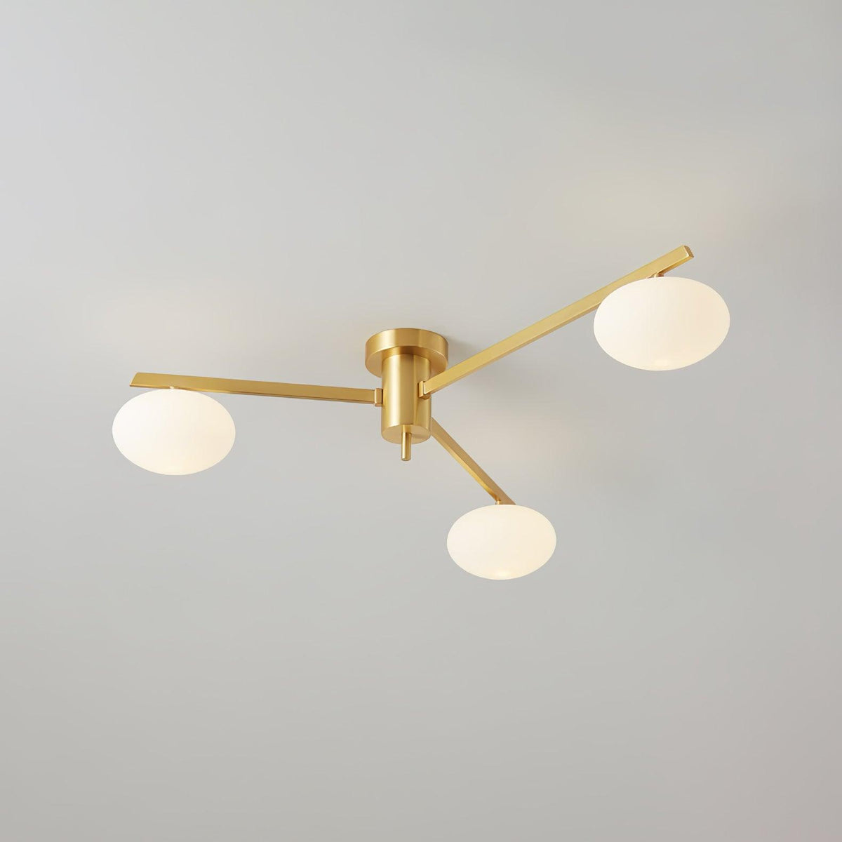 Branch Globe Ceiling Light