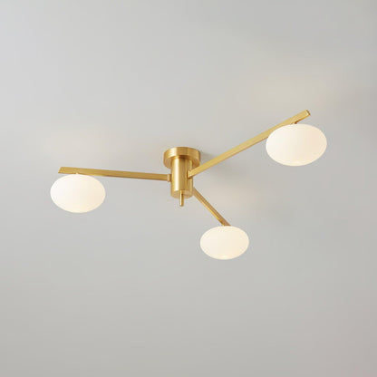 Branch Globe Ceiling Light