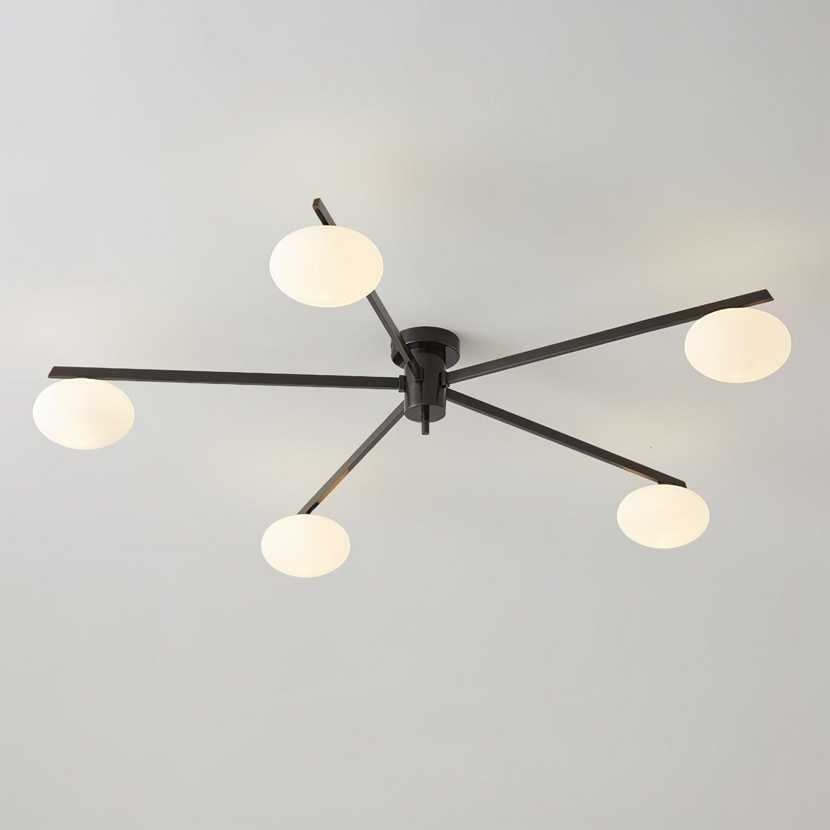 Branch Globe Ceiling Light