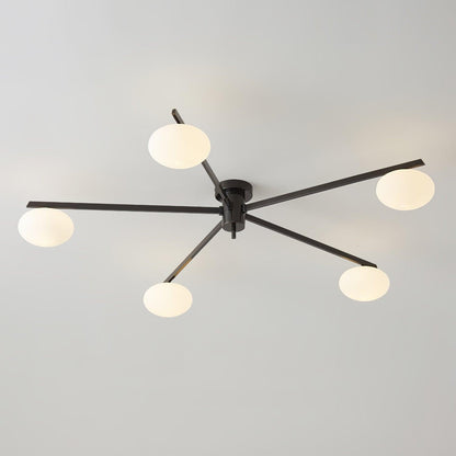 Branch Globe Ceiling Light