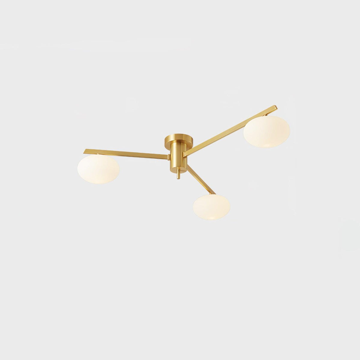 Branch Globe Ceiling Light