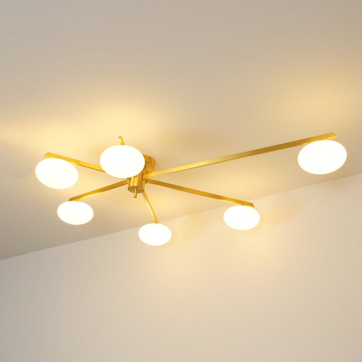 Branch Globe Ceiling Light