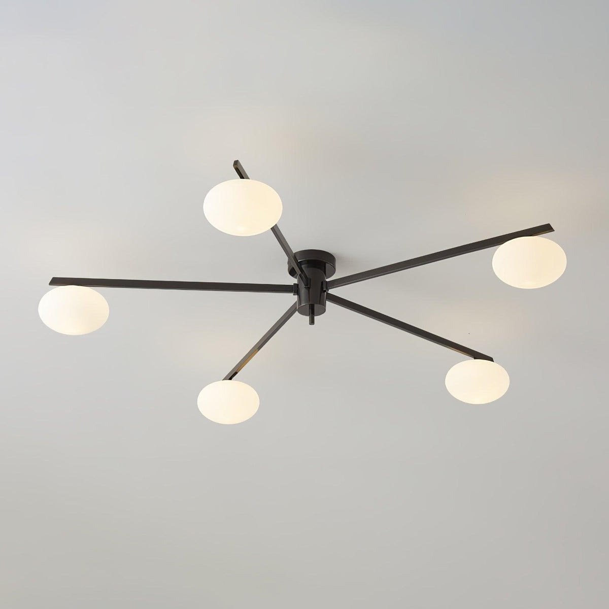 Branch Globe Ceiling Light