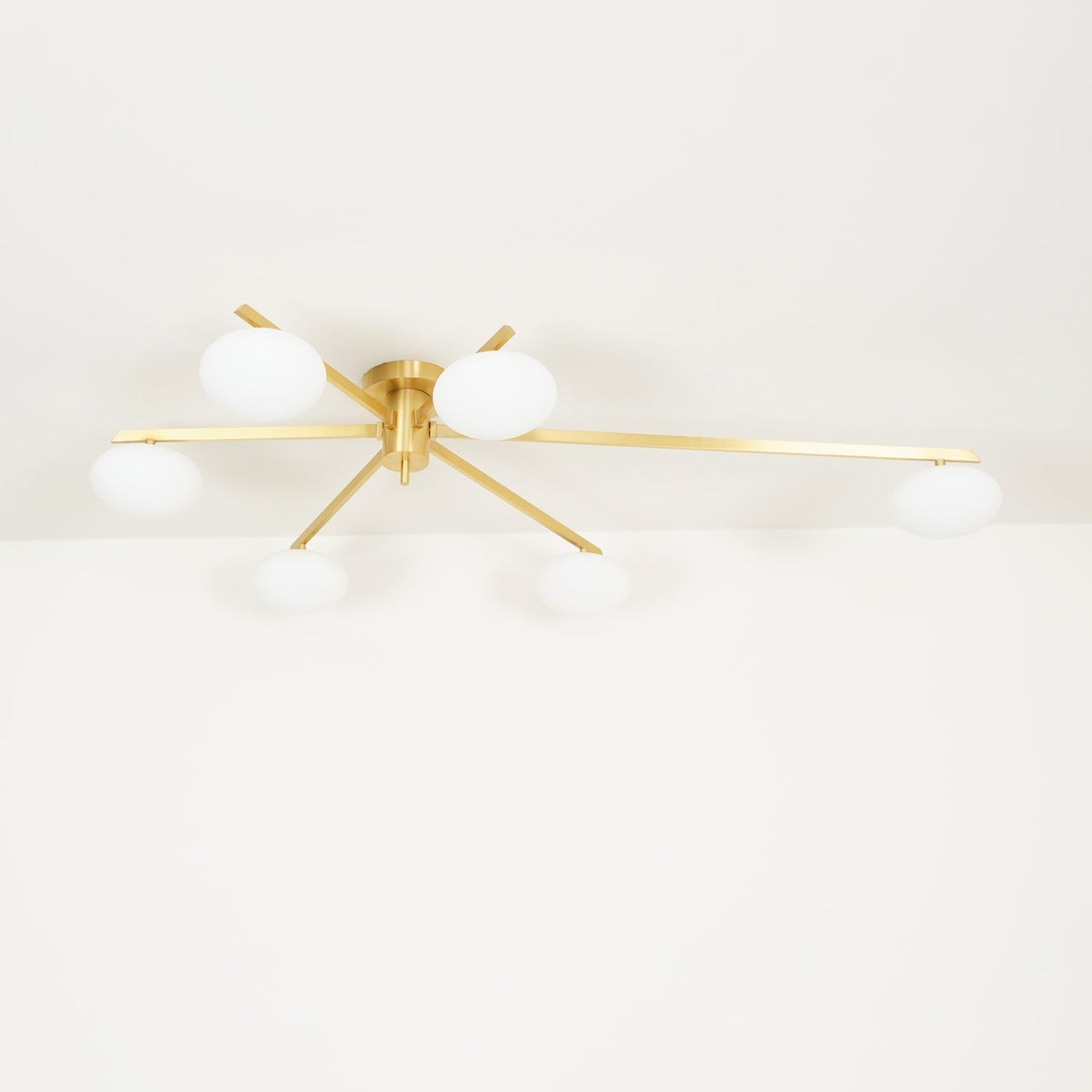 Branch Globe Ceiling Light