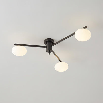 Branch Globe Ceiling Light