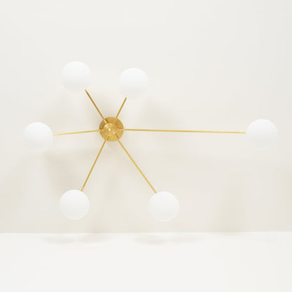 Branch Globe Ceiling Light