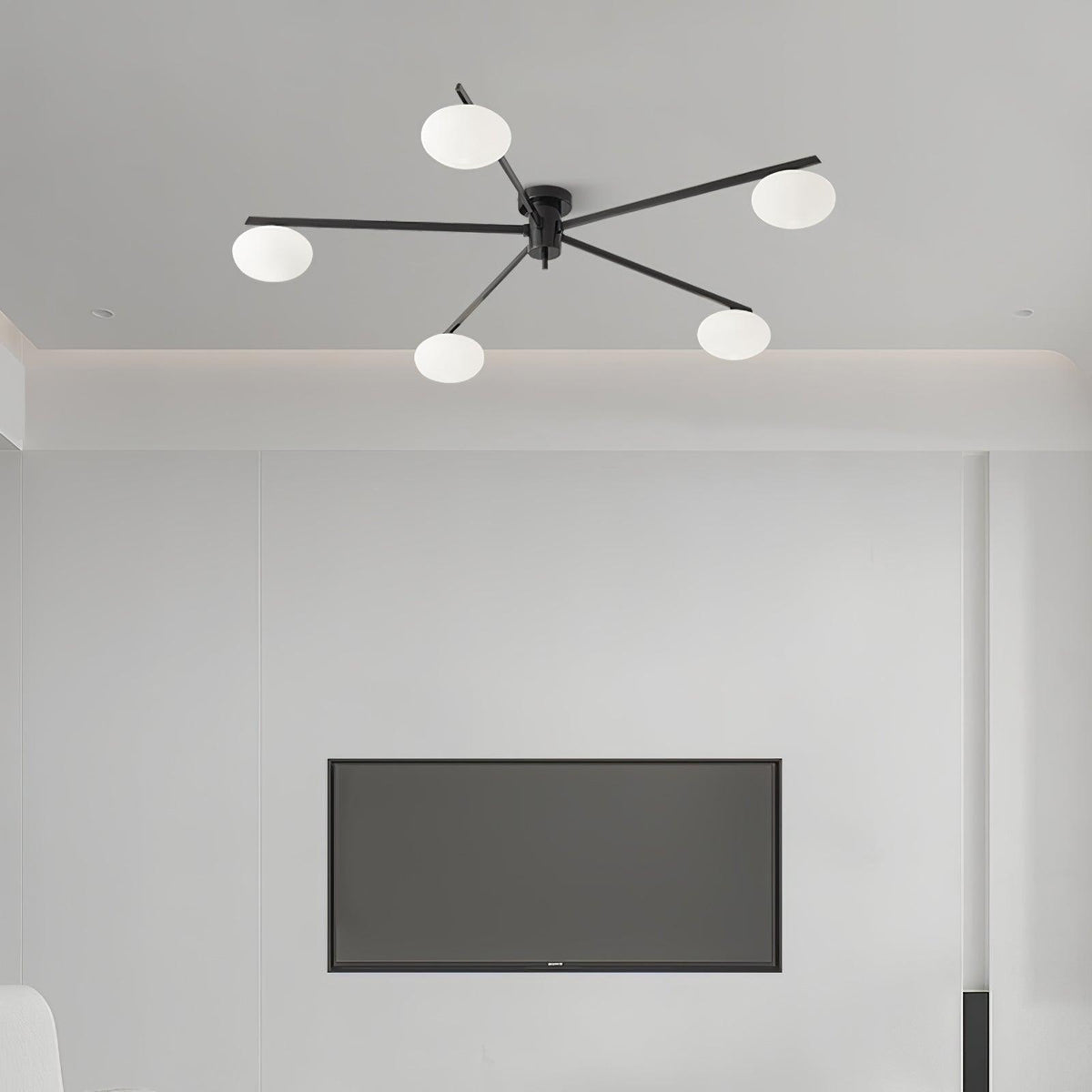 Branch Globe Ceiling Light