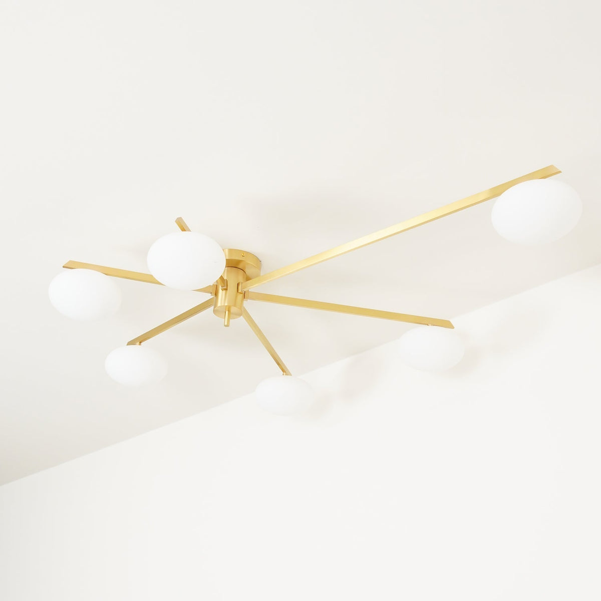 Branch Globe Ceiling Light