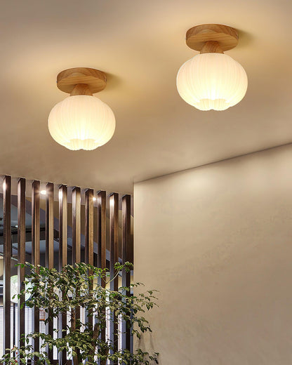 Fold Globe Ceiling Light
