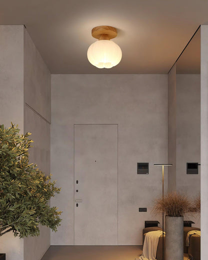 Fold Globe Ceiling Light