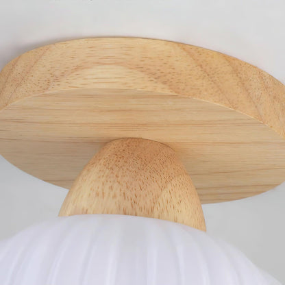 Fold Globe Ceiling Light