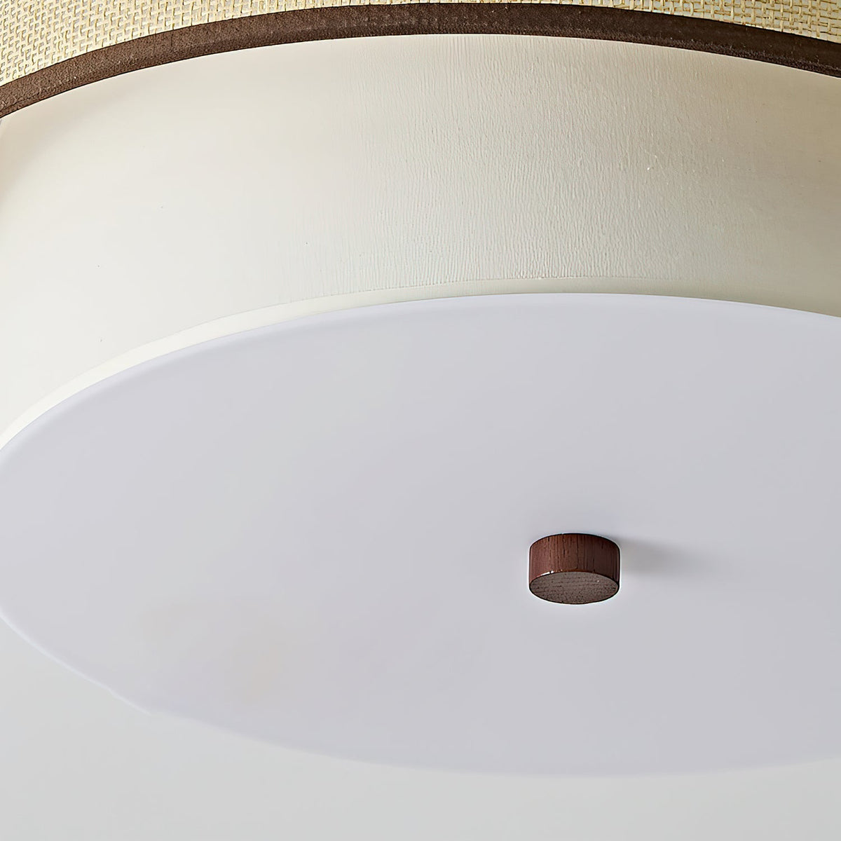 Frame Drum Ceiling Light