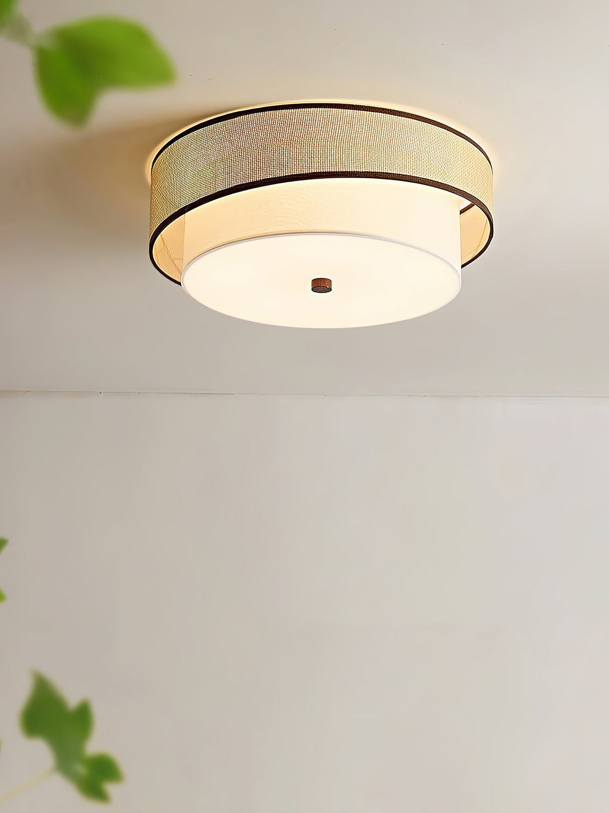 Frame Drum Ceiling Light