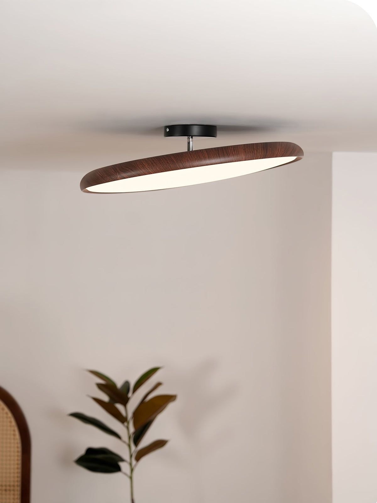 Timber Halo Ceiling Light