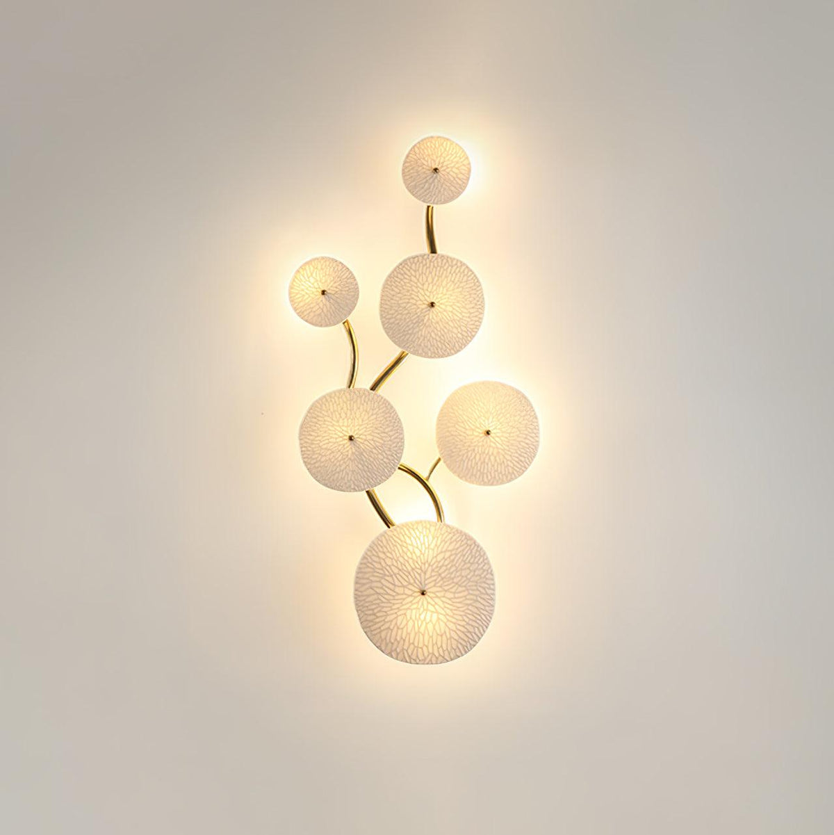 Gather Disc Wall Light