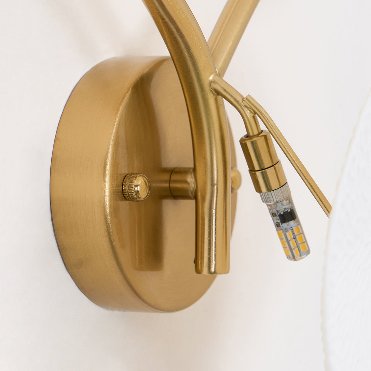 Gather Disc Wall Light