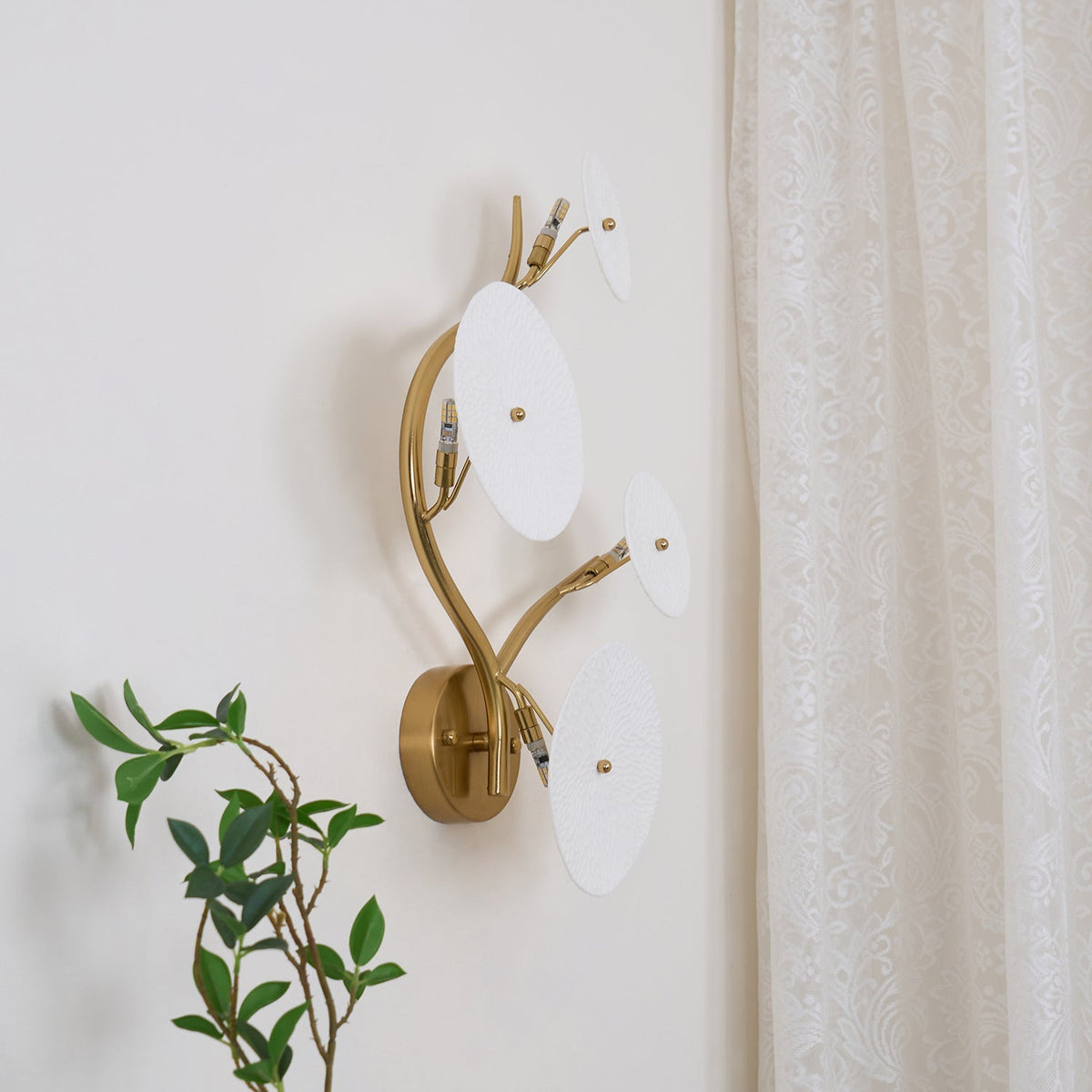 Gather Disc Wall Light