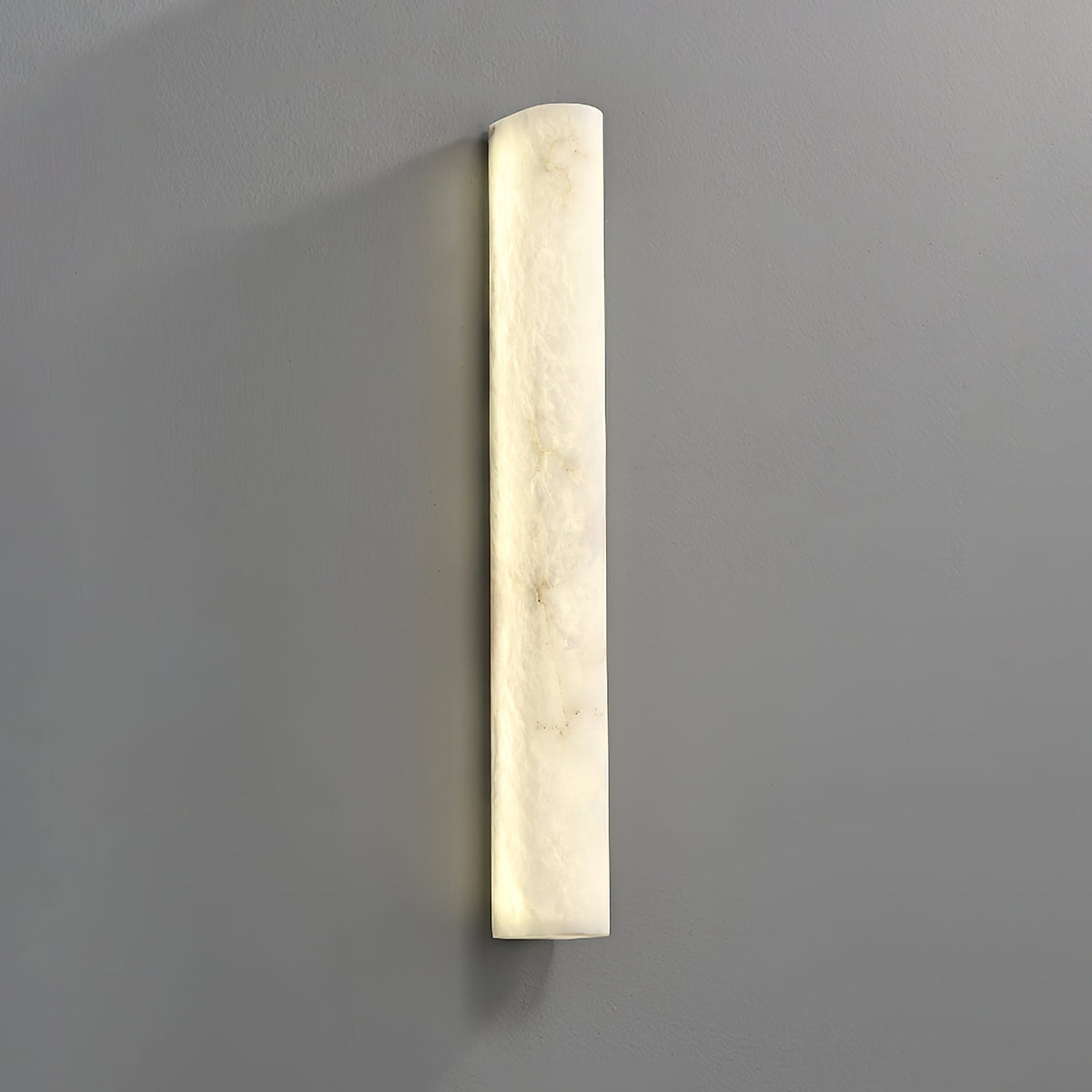 Vein Curve Wall Light