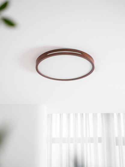 Solace Ring Ceiling Light