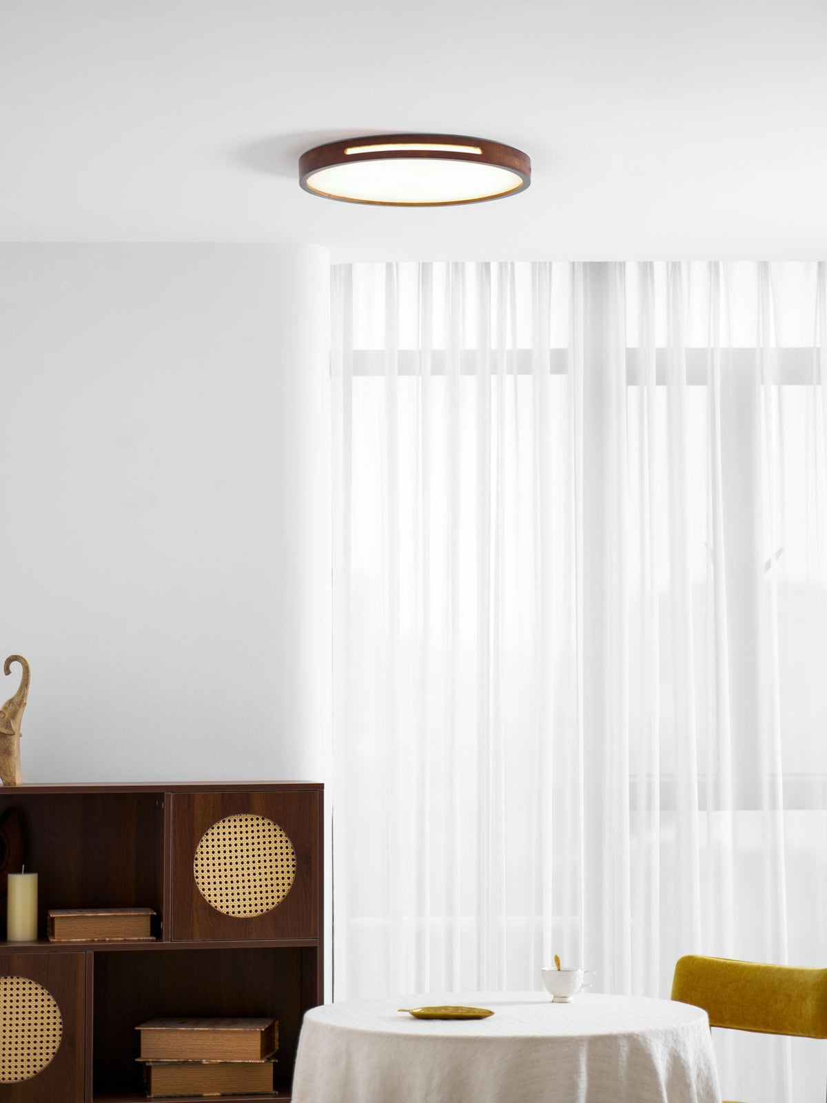 Solace Ring Ceiling Light