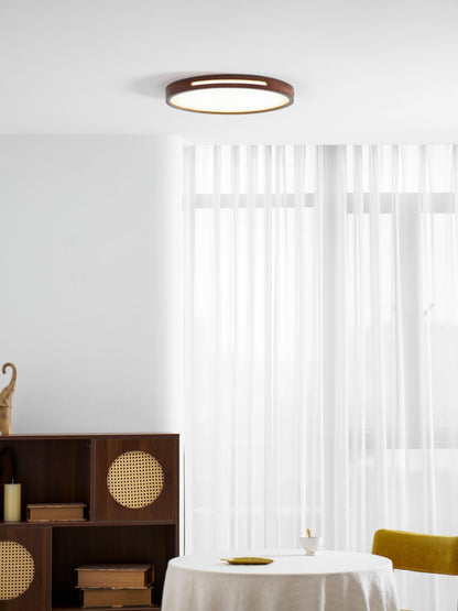Solace Ring Ceiling Light