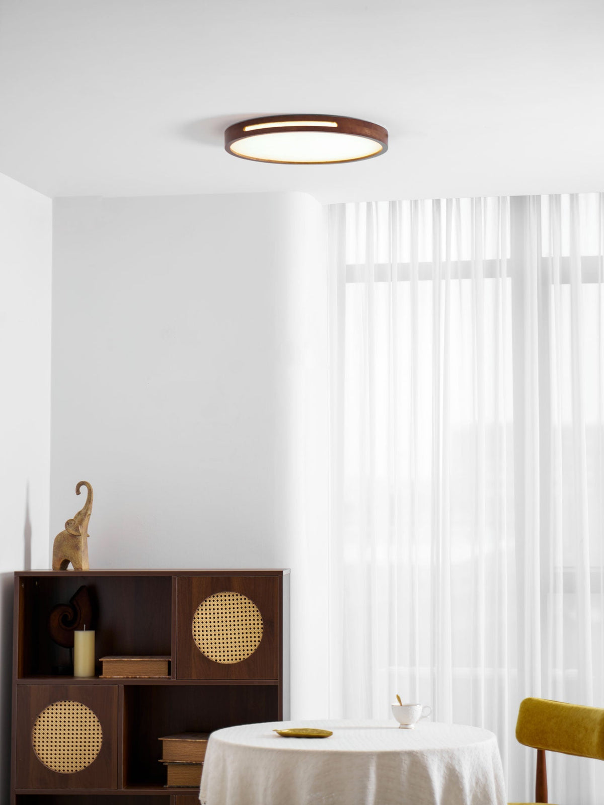 Solace Ring Ceiling Light