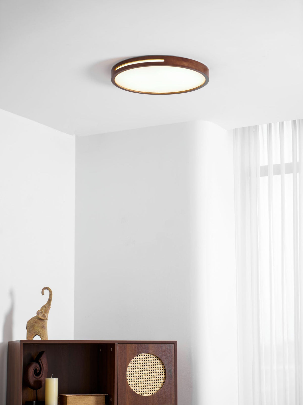 Solace Ring Ceiling Light