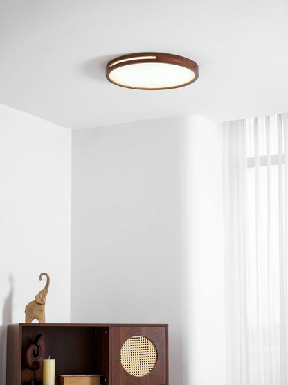 Solace Ring Ceiling Light