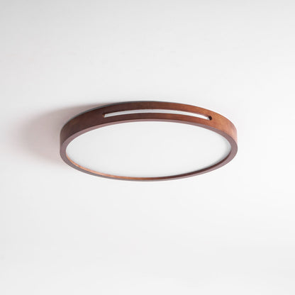 Solace Ring Ceiling Light