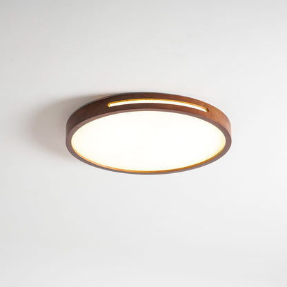 Solace Ring Ceiling Light