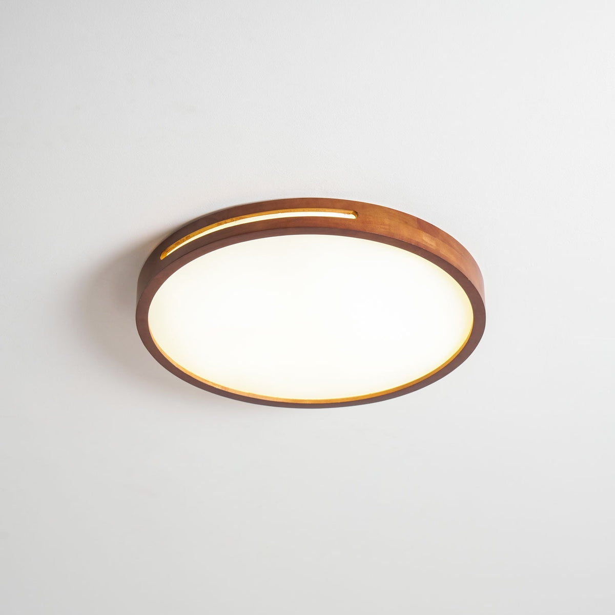Solace Ring Ceiling Light