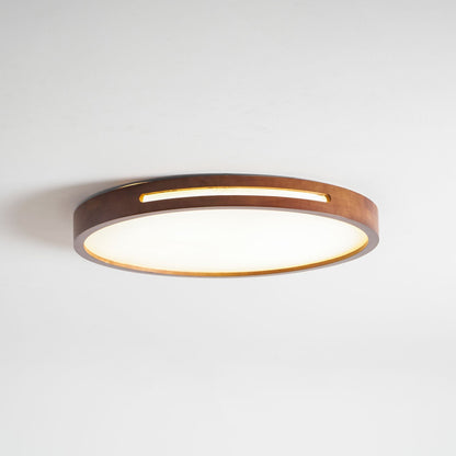 Solace Ring Ceiling Light