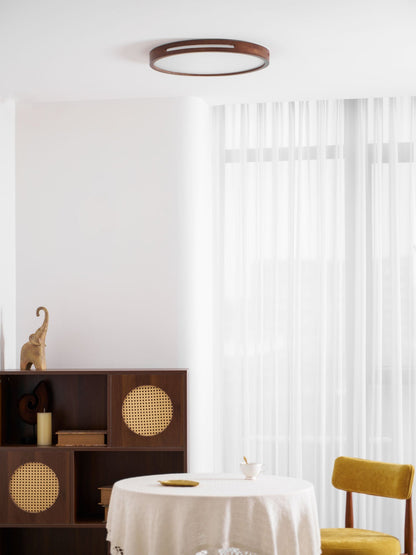 Solace Ring Ceiling Light