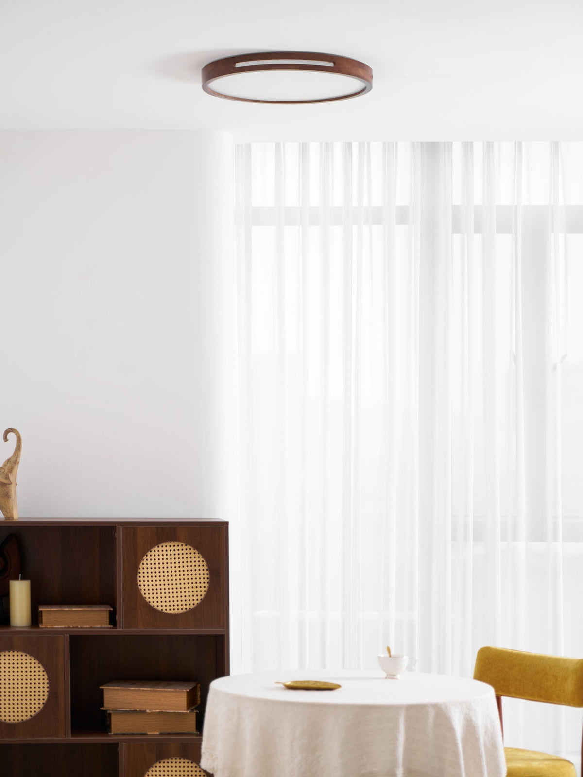 Solace Ring Ceiling Light